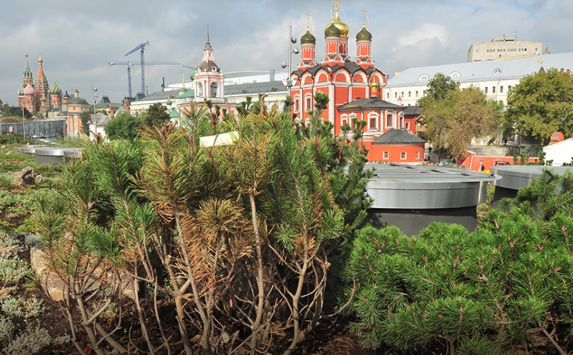 Парк «Зарядье» открылся в центре Москвы в сентябре прошлого года. Фото: архив